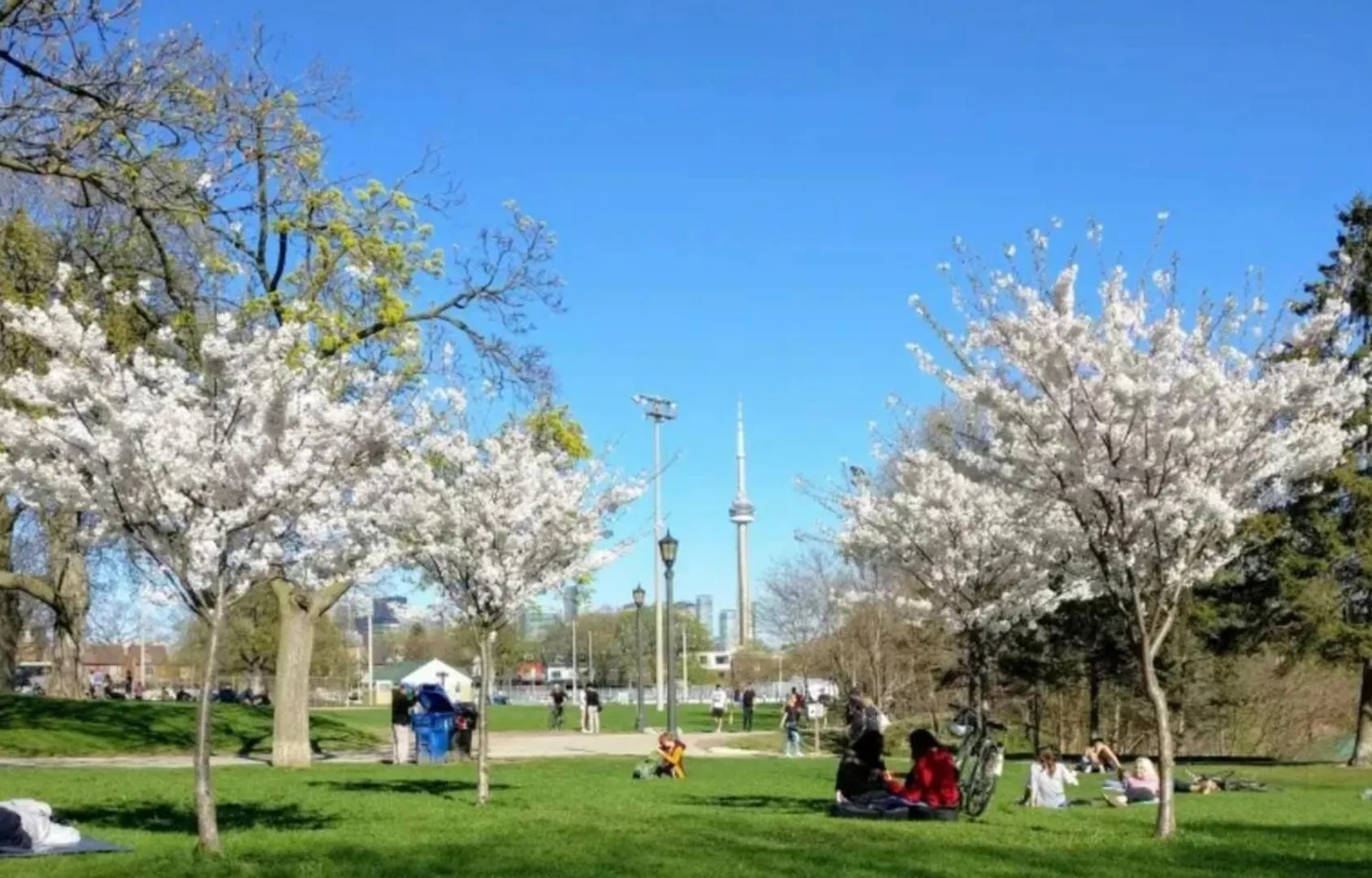 Central Downtown Toronto - Trinity Bellwood Park Apartment